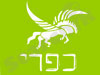 כפרי סדנאות והפעלות איכות