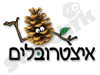 איצטרובלים 