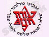 אירגון עזרת חולים 