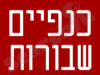 כנפיים שבורות 