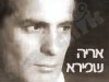 אריה שפירא