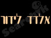 אלדד לידור