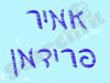 אמיר פרידמן
