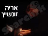 אריה זונשיין