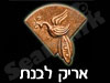 אריק לבנת
