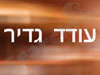 עודד גדיר