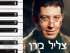 צליל בירן