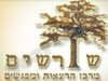 שורשים