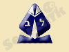 ליפסקי ביטוחים 