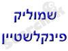 שמוליק פינקלשטיין