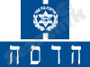 מ. רפואי הדסה 