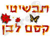 תכשיטי קסם לבן 