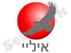 איליי