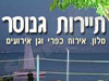 גנוסר 