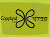 קופילנד