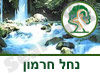 נחל חרמון (בניאס)