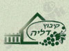 דליה