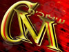 CustoModel 
