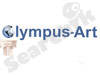 Olympus Art 