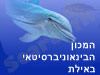 המכון הבינאוניברסיטאי באילת 