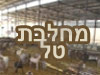 מחלבת טל
