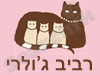 רביב ג`ולרי 