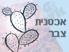 אכסנית צבר
