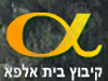 אלפא אירוח