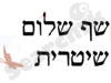 שף שלום שיטרית 