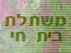 משתלת בית חי 