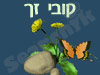 קובי זך