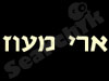 ארי מעוז