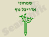יפתח שמחוני  יפתח שמחוני