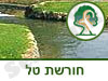 חורשת טל