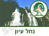 שמורת טבע נחל עיון