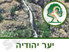 שמורת טבע יער יהודיה 