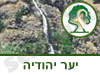 שמורת טבע יער יהודיה
