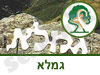 שמורת טבע גמלא