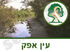 שמורת טבע עין אפק