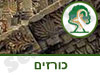גן לאומי כורזים