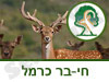 שמורת טבע חי-בר כרמל 