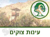 שמורת טבע עינות צוקים