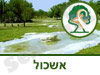 גן לאומי הבשור (פארק אשכול)