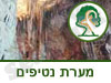 מערת הנטיפים