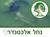 נחל אלכסנדר ומכמורת