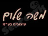 משה שלום עיצובים