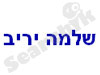 שלמה יריב -ביטוח רכב