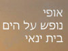 אופי נופש על הים