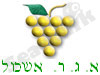 א.ג.ר. אשכול אוברסיז 