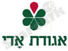 אגודת אדי 